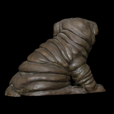 Le sharpei